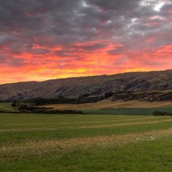 New Zealand Sunrise